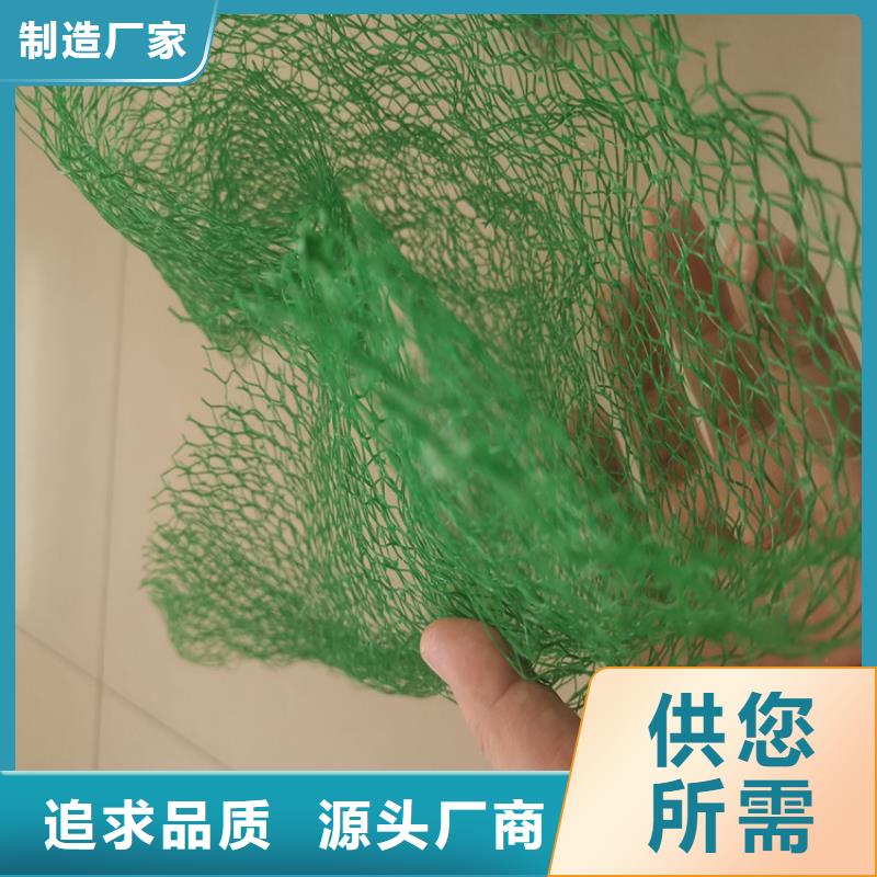 三维植被网_土工膜工厂批发专业完善售后