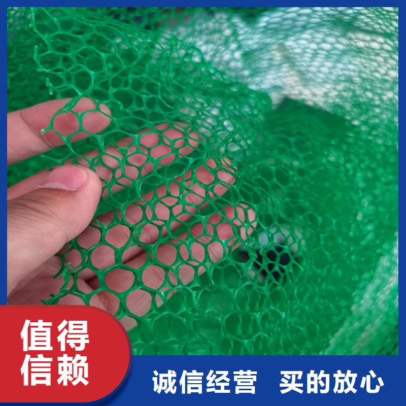 三维植被网土工膜品质不将就精选厂家好货