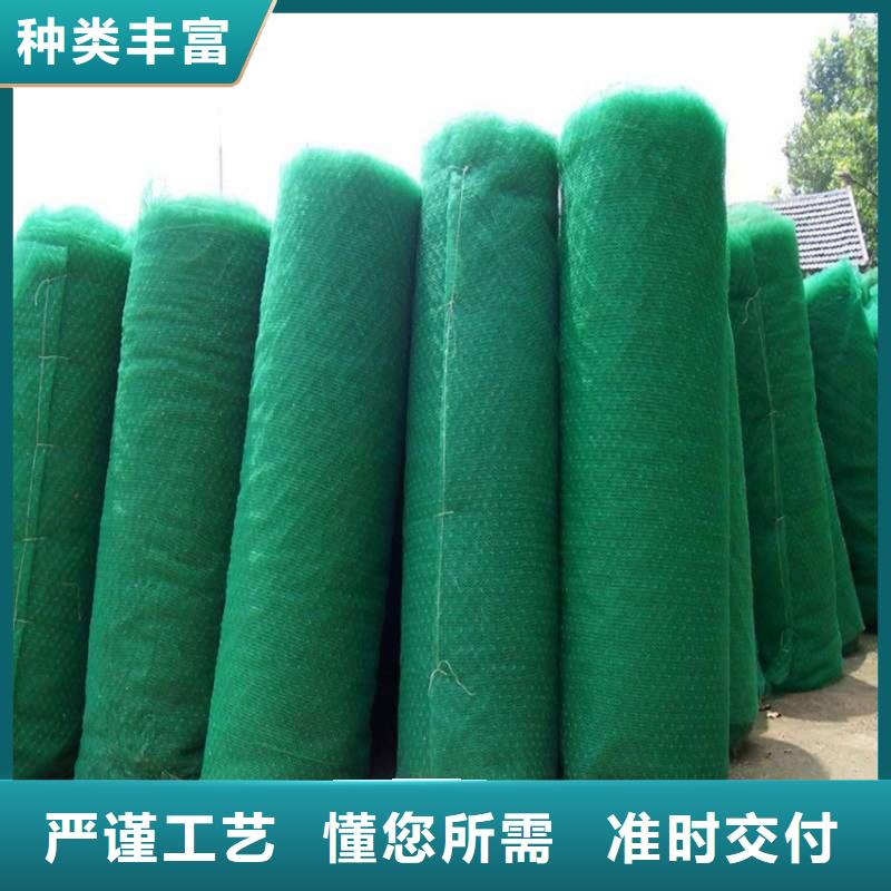 三维植被网_玻璃纤维土工格栅用心经营优质材料厂家直销