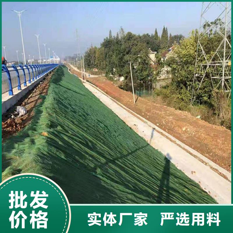 【三维植被网复合膜的图文介绍】支持非标定制