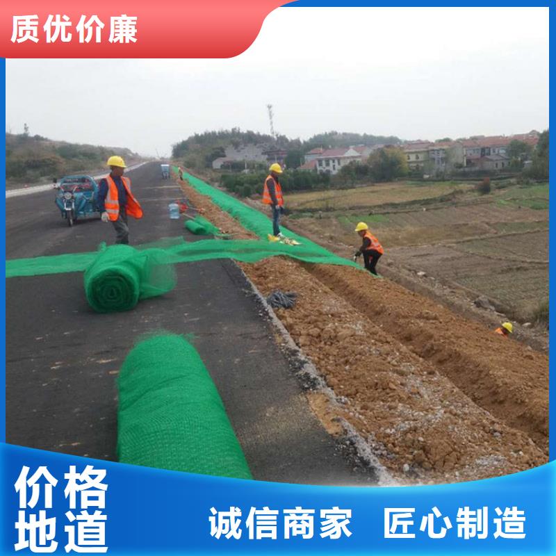 三维植被网【防裂贴】实力优品性能稳定