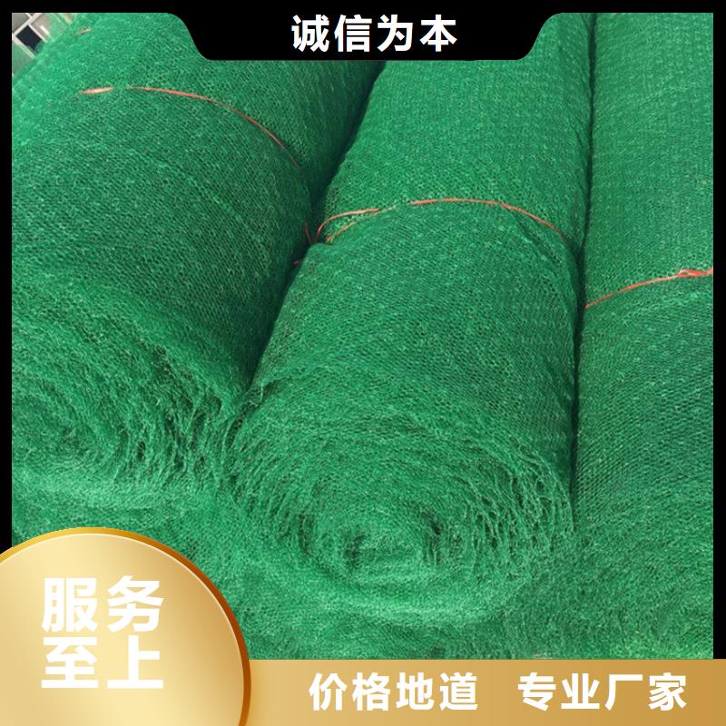 三维植被网【防渗膜】国标检测放心购买当地经销商