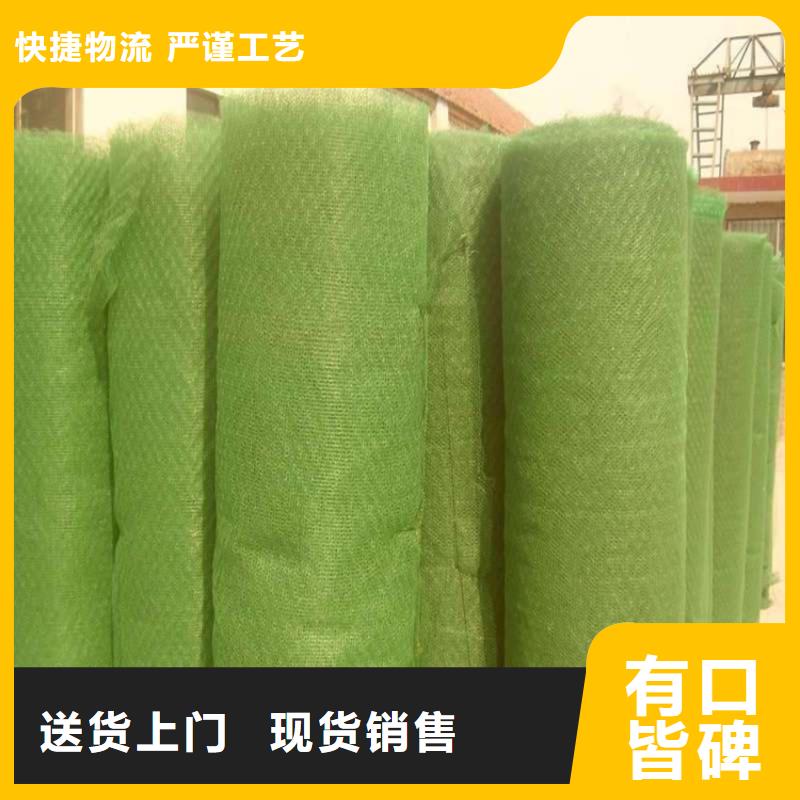三维植被网-软式透水管质量检测当地生产厂家