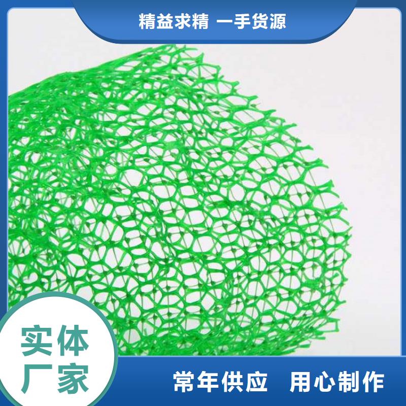 三维植被网玻纤格栅买的放心安兴用的舒心严格把控质量