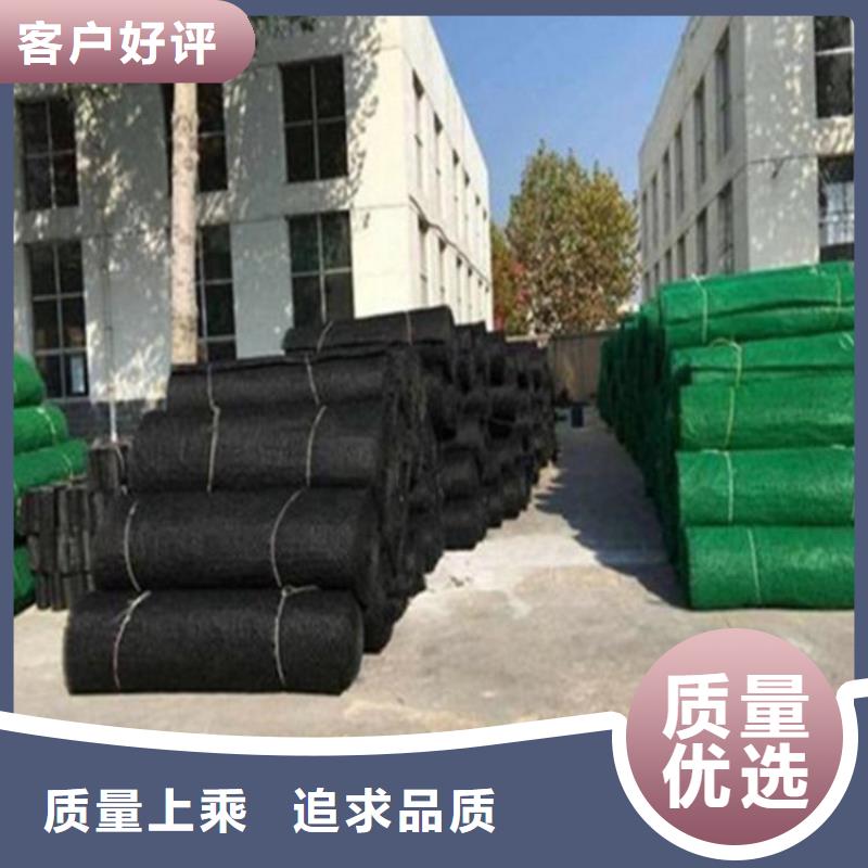 三维植被网玻纤格栅实力商家供货稳定按需定制真材实料