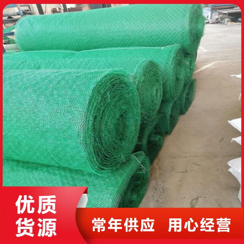 【三维植被网】聚酯布用好材做好产品本地货源