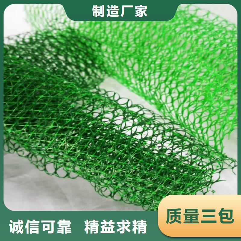 三维植被网_土工格栅现货销售海量现货