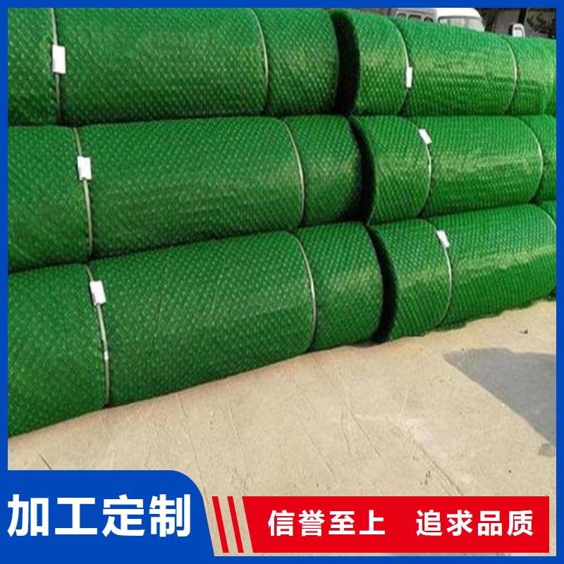 三维植被网拥有多家成功案例同城厂家