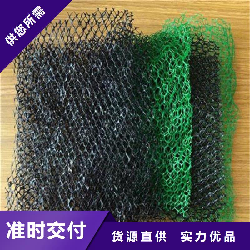 三维植被网抗裂贴精品优选本地经销商