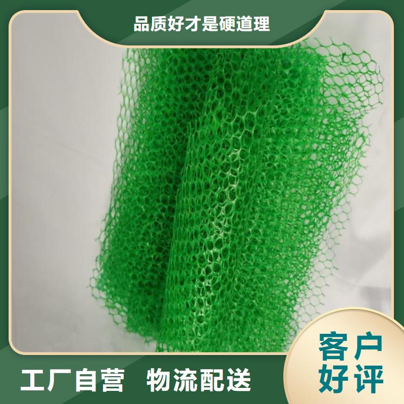 三维植被网止水带您身边的厂家发货迅速