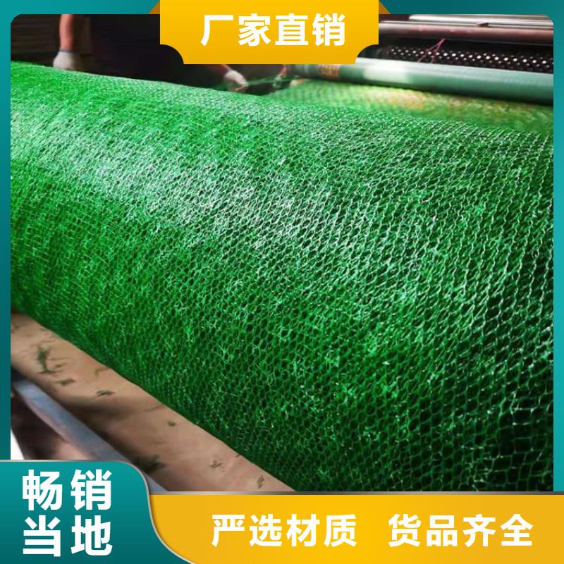 三维植被网【玻纤土工格栅】追求细节品质匠心品质