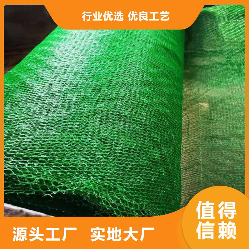三维植被网土工格栅品质值得信赖快速发货