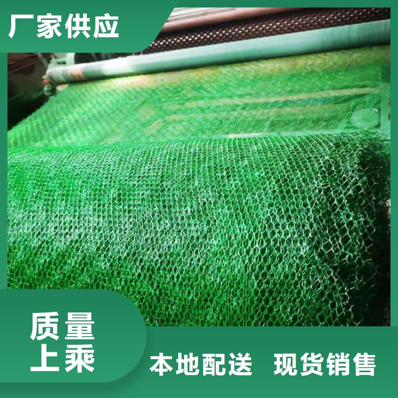 三维植被网钢塑土工格栅专业生产品质保证优质原料