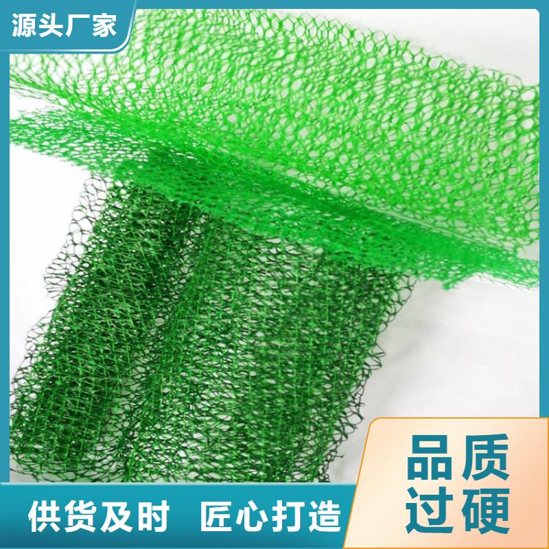 三维植被网【软式透水管】品质优良现货采购