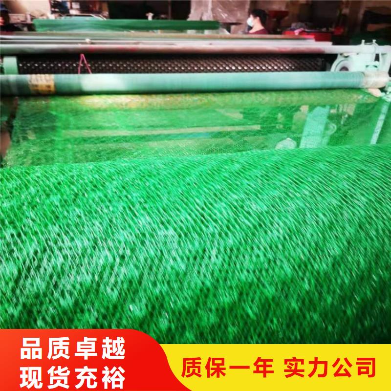 三维植被网-钢塑土工格栅好产品价格低本地供应商