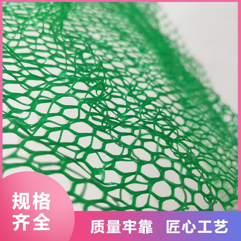 三维植被网蓄水板设计制造销售服务一体用心制作