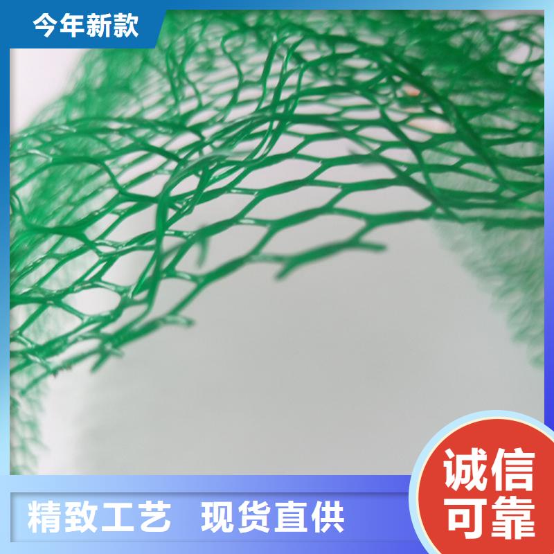 三维植被网_土工格栅拒绝中间商好厂家有担当