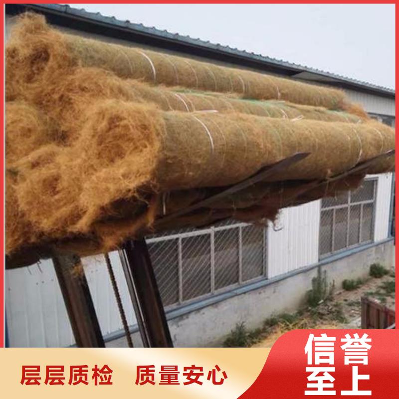 【椰丝毯_止水条厂家经验丰富】精工制作