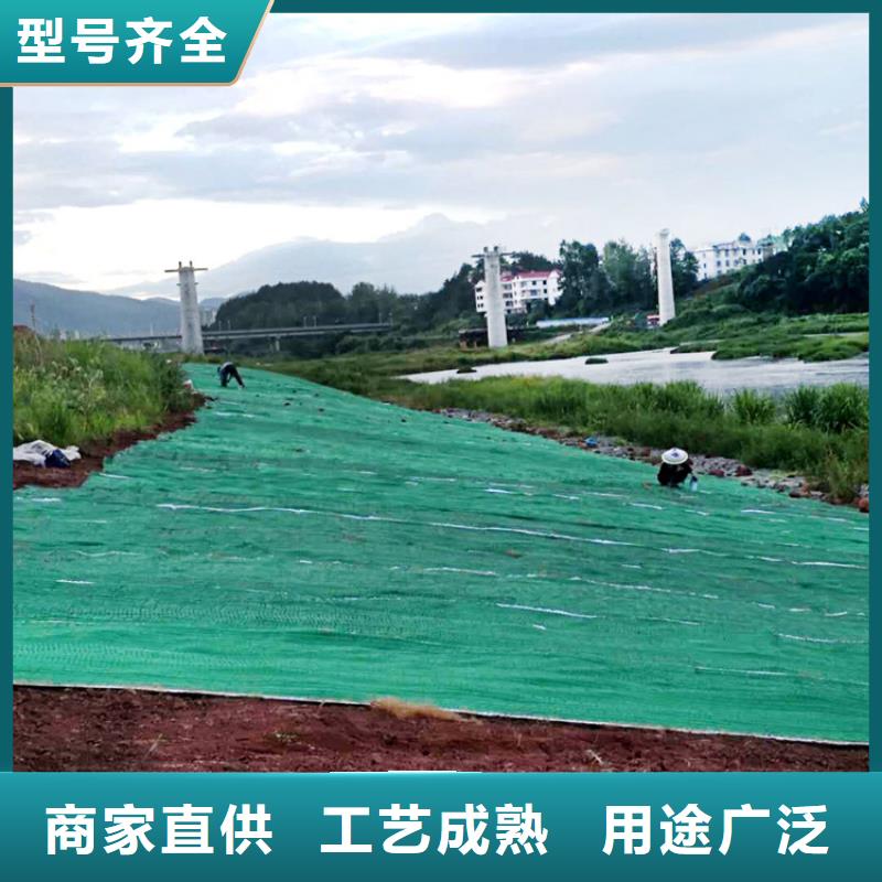 椰丝毯防渗膜多行业适用匠心制造