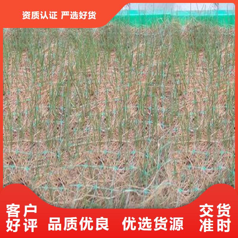 ​椰丝毯土工格栅型号全价格低敢与同行比质量