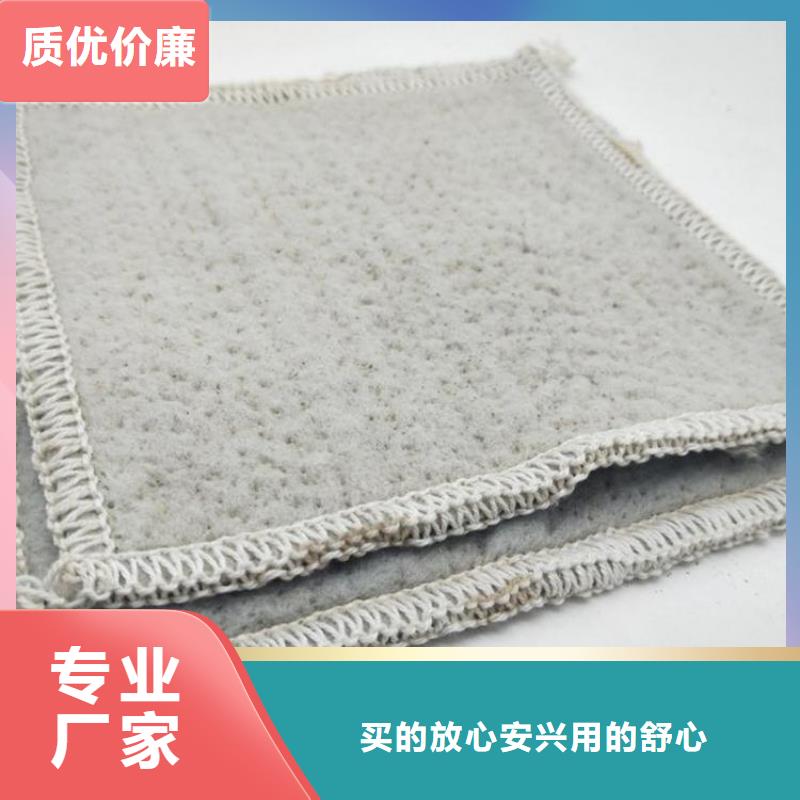 膨润土防水毯双向塑料土工格栅一站式采购商当地服务商