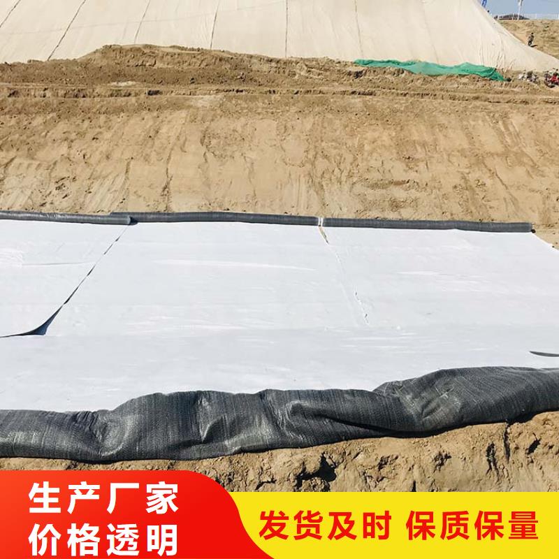 【膨润土防水毯_拉筋带合作共赢】选择我们选择放心