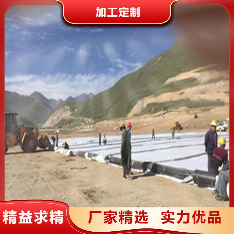 【膨润土防水毯钢塑格栅助您降低采购成本】量大更优惠