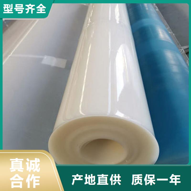 防水板_【土工格栅】多年经验值得信赖专业的生产厂家
