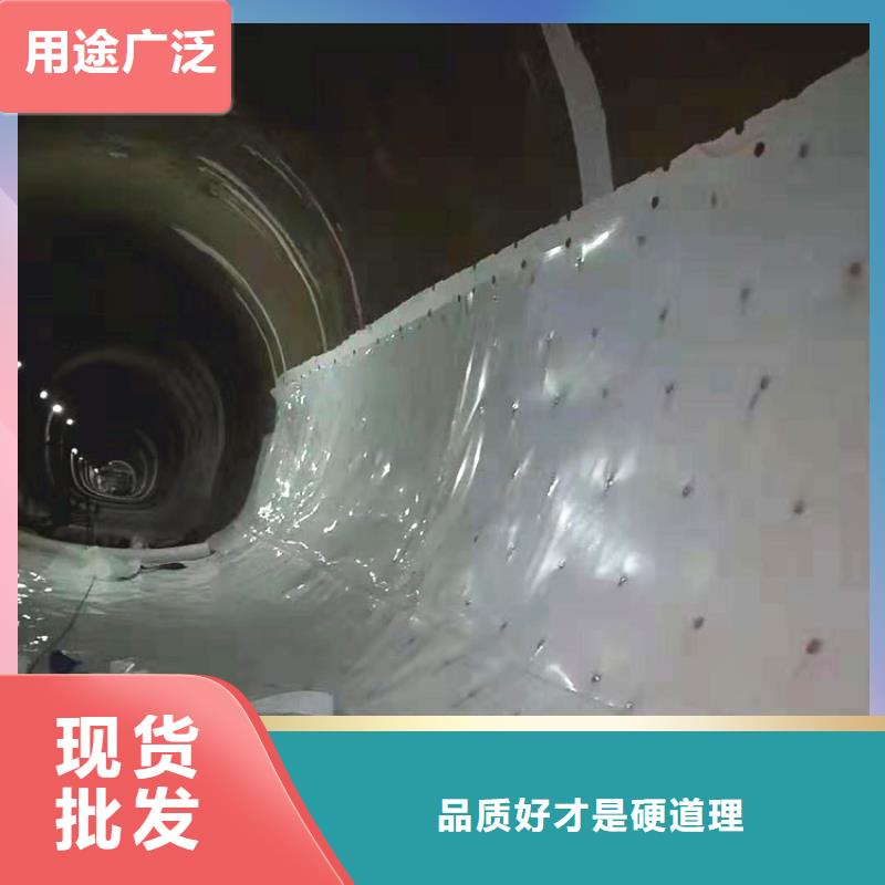 防水板钢塑格栅现货满足大量采购支持拿样