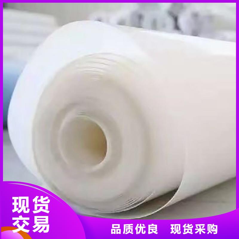 防水板,土工膜厂家批发价厂家定制