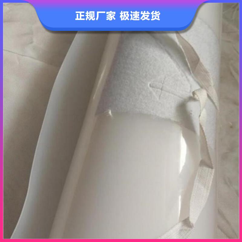 防水板【土工布】优质原料价格公道合理