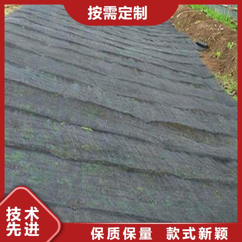 水土保护毯防渗膜实力厂家直销源头采购