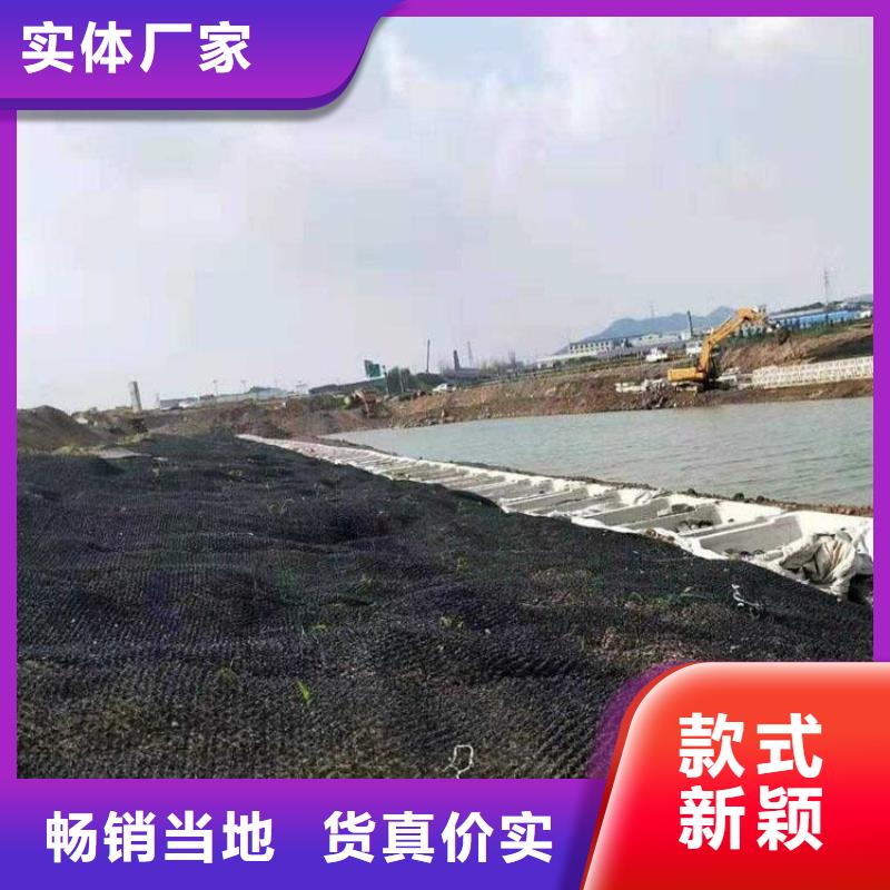 水土保护毯双向土工格栅多种场景适用同城服务商
