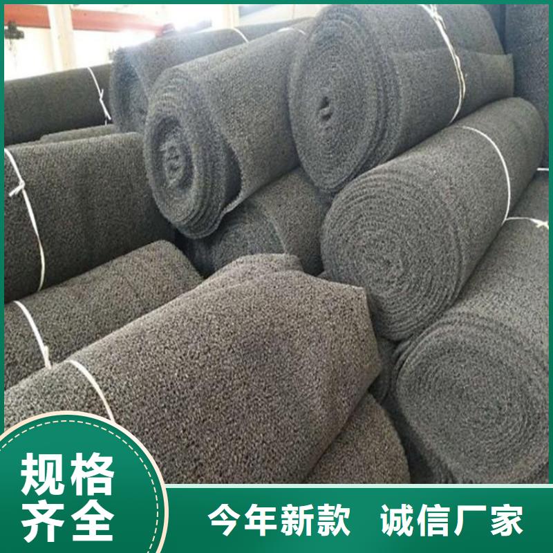 【水土保护毯】钢塑土工格栅专注细节使用放心本地经销商