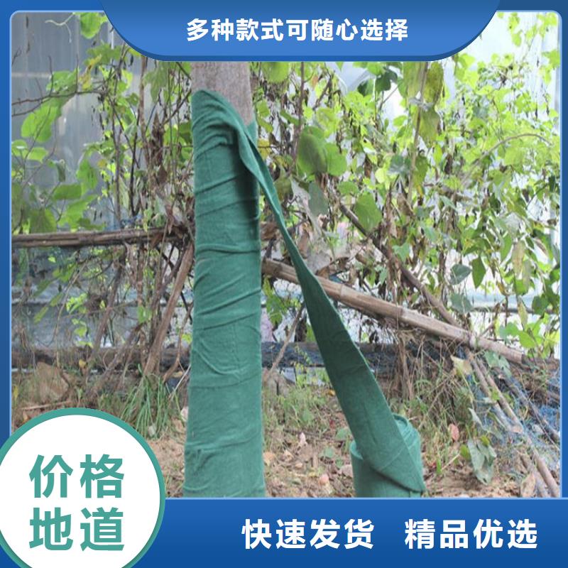 裹树布防渗膜多年行业经验当地制造商