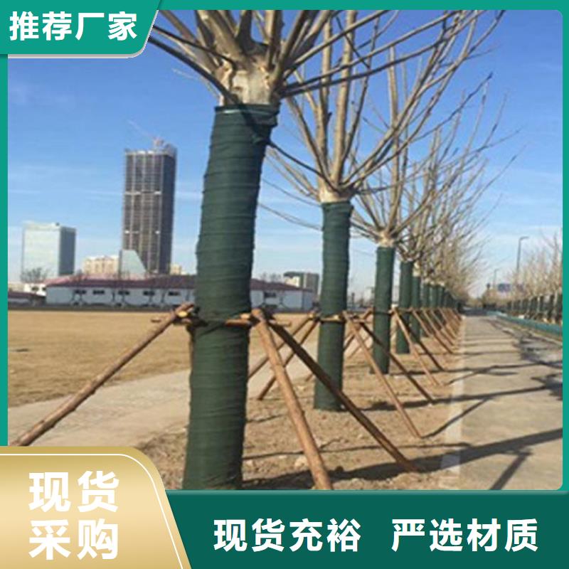 裹树布【防裂贴】质量检测厂家供应