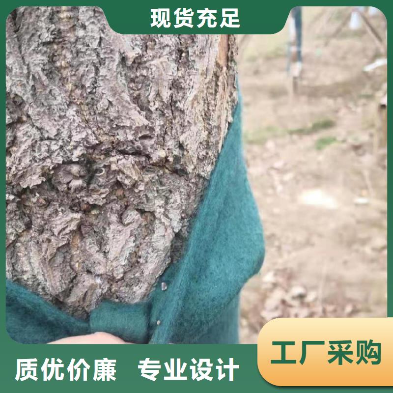 裹树布植草格库存充足严格把控质量