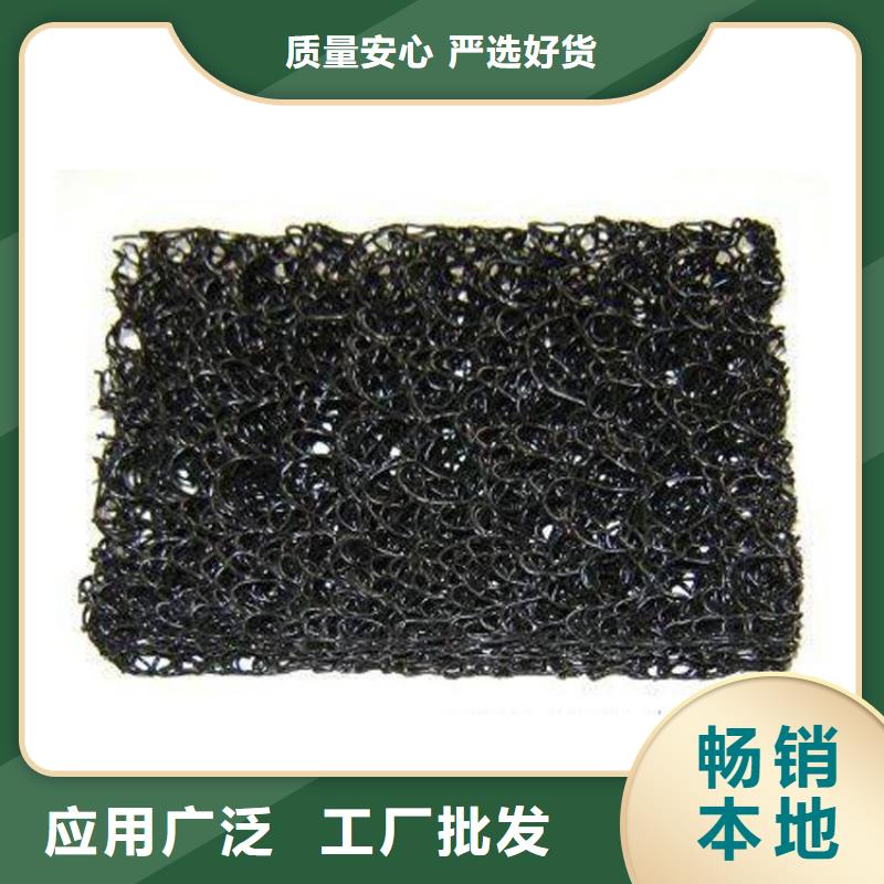 土工席垫土工格栅严谨工艺厂家货源稳定