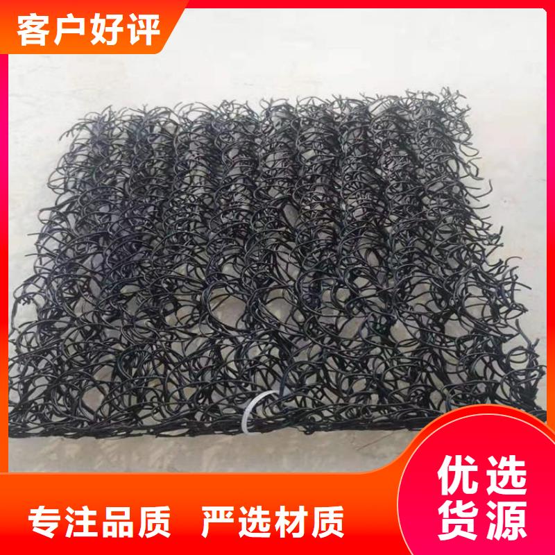 土工席垫双向塑料土工格栅一手价格本地货源