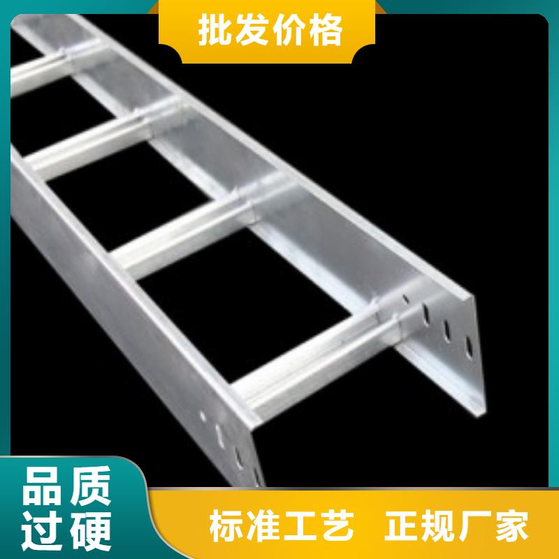 专业销售防火喷塑桥架-热销批发供应