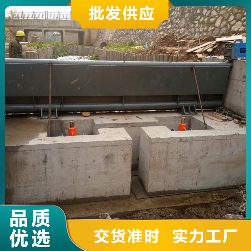 翻板闸门厂家供应实力厂商