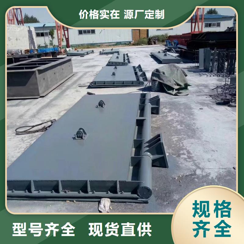【翻板闸门】渠道闸门质检严格本地服务商