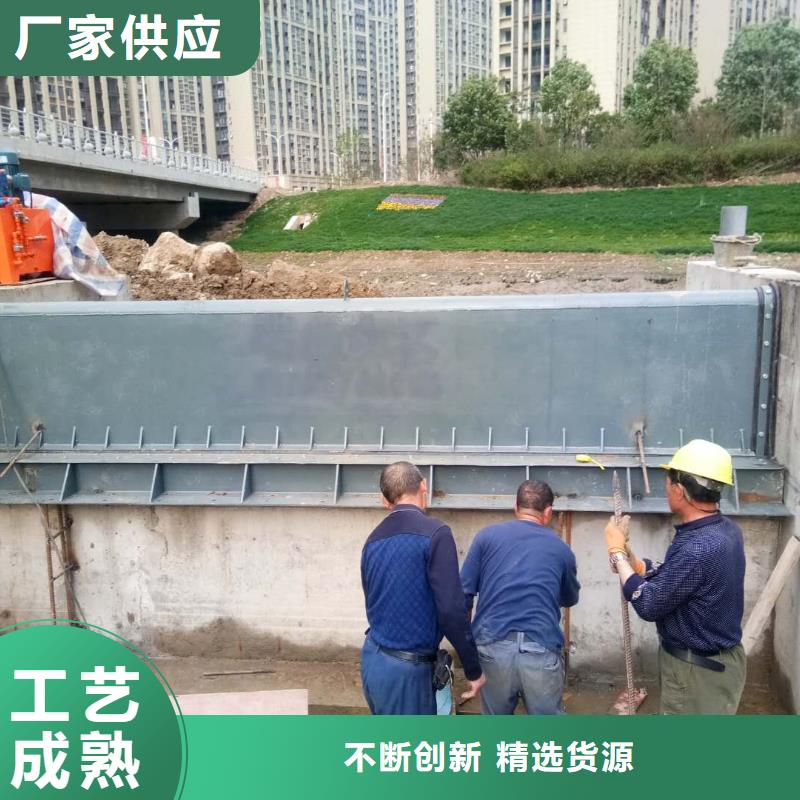 【翻板闸门】铸铁镶铜闸门精工细作品质优良同城生产厂家