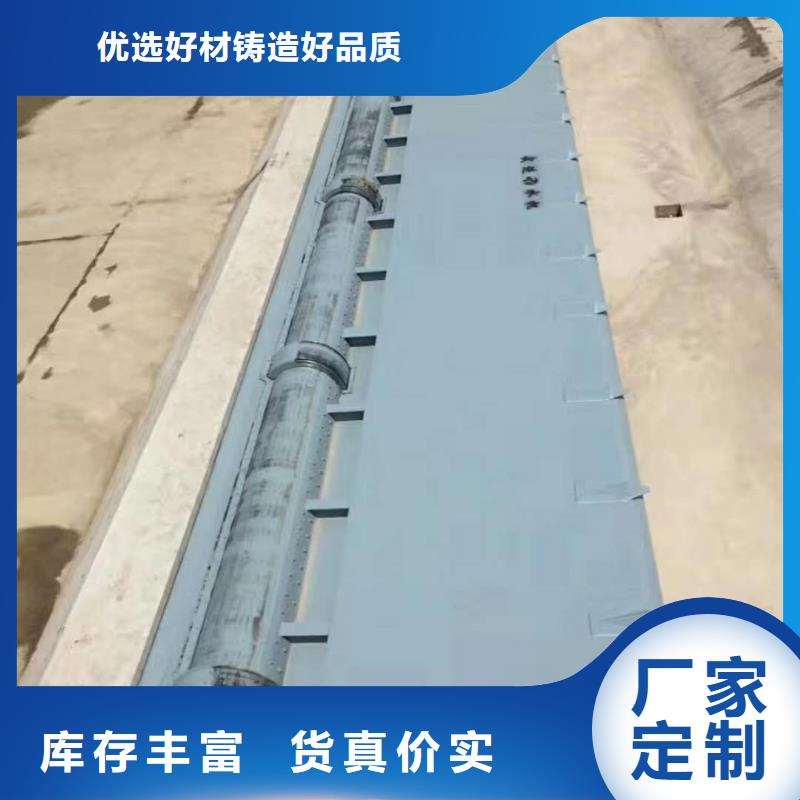 定轮钢闸门多年行业经验【本地】厂家