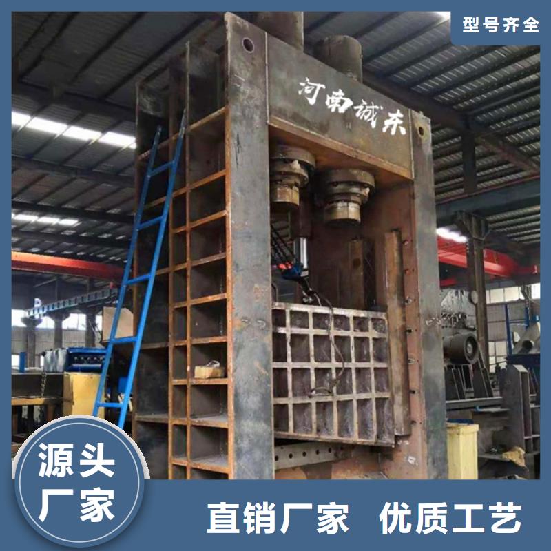 龙门剪废旧金属撕裂机满足多种行业需求当地公司