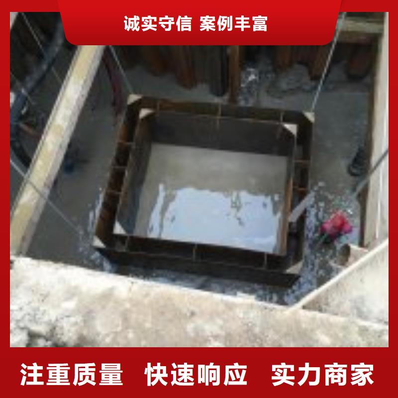 乐东县水库电站闸门水下检修公司【本地施工队】当地生产厂家
