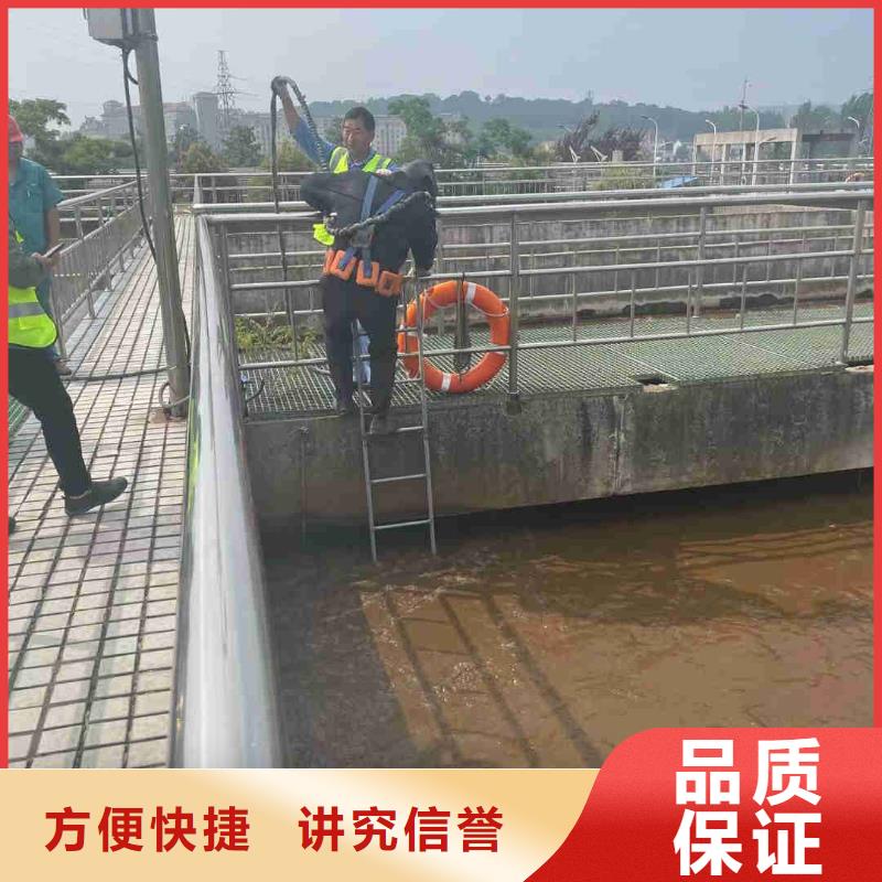 护坡破损模袋修复公司【本地施工队】方便快捷