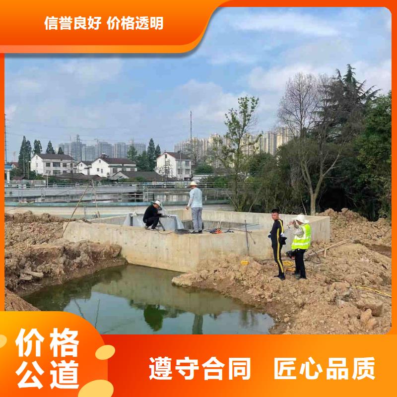 水下救援队-解决各种难题良好口碑