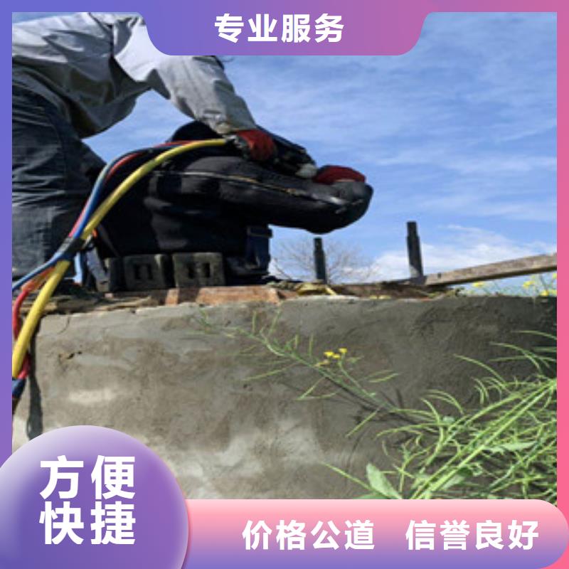 水下救援队-电话沟通同城厂家