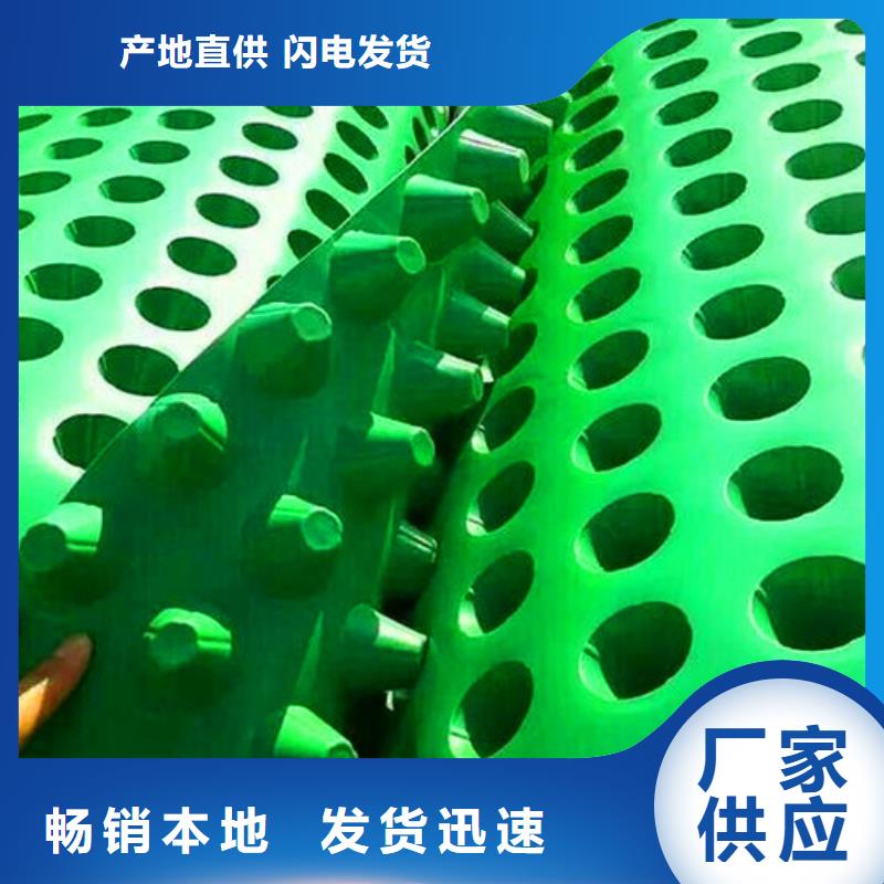 排水板土工格栅工厂直销源头工厂